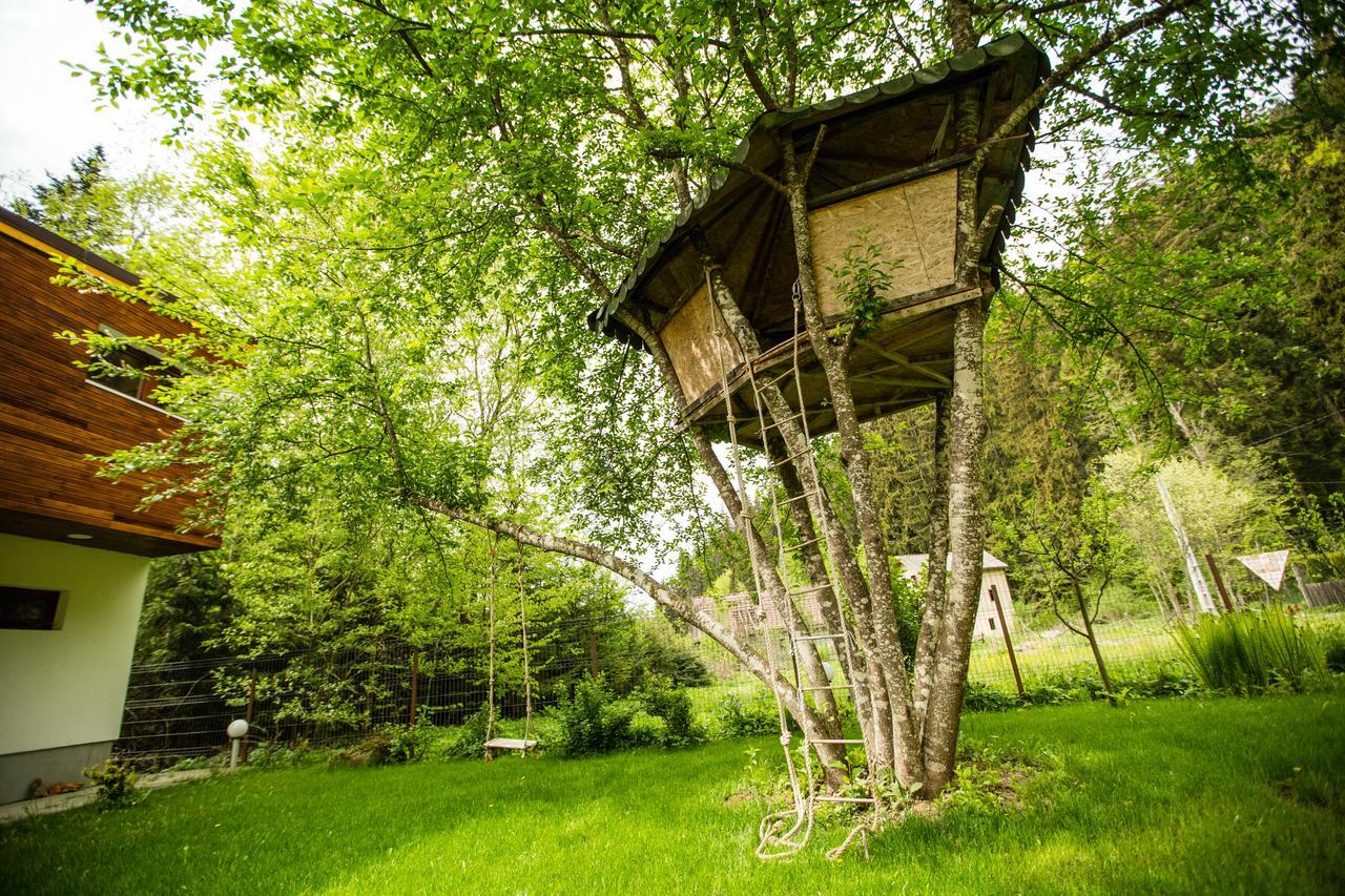 Cabana Jasmin Băile Chirui 외부 사진